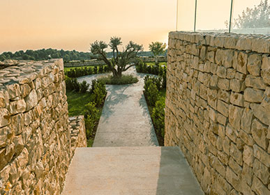 venue 1