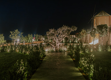 venue 11