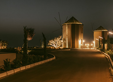 venue 7