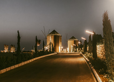 venue 8
